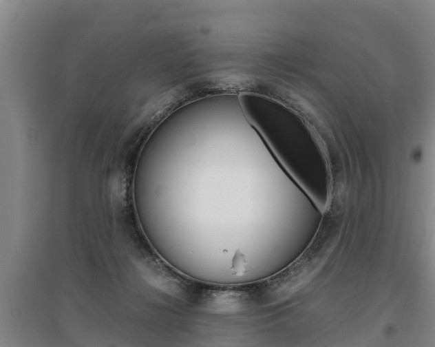 X0000095890268200801110835
