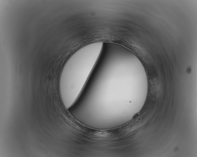 X0000095890269200801110835