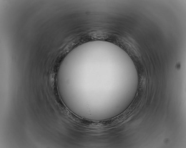 X0000095890271200801110835