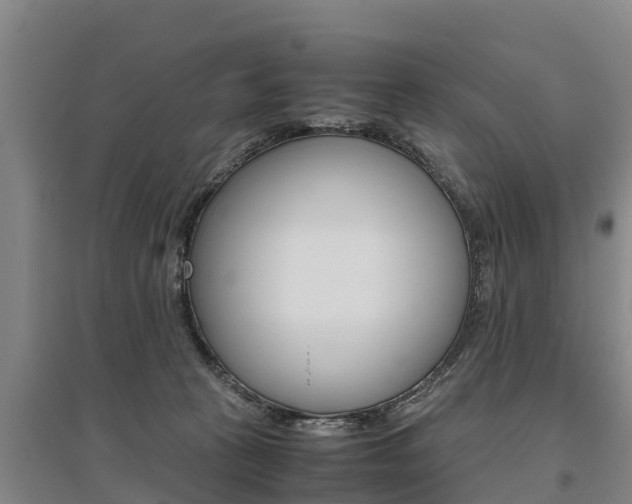 X0000095890273200801110835
