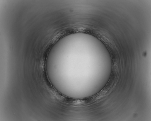 X0000095890274200801110835