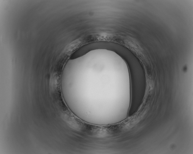 X0000095890276200801110836