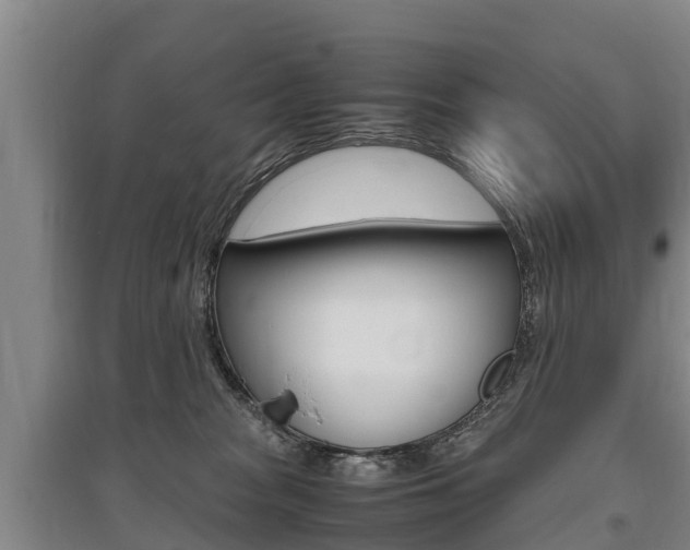 X0000095890277200801110836