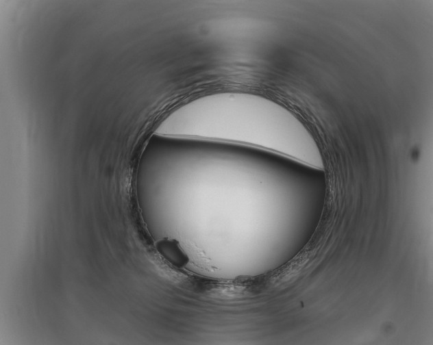 X0000095890278200801110836