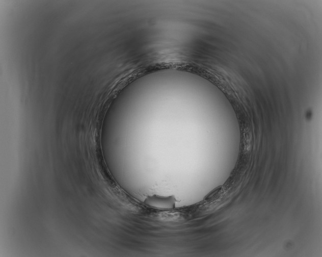 X0000095890279200801110836
