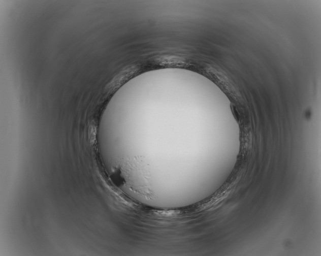 X0000095890281200801110836