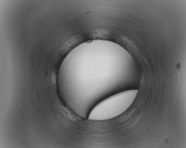 X0000095890282200801110836