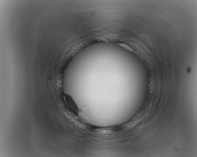 X0000095890284200801110836