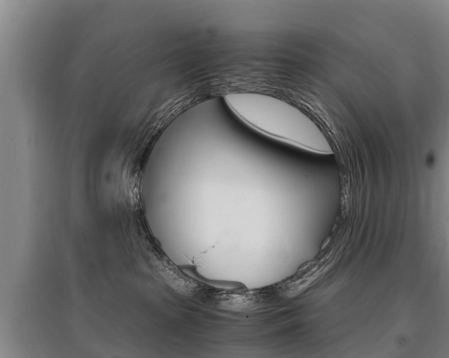 X0000095890285200801110836