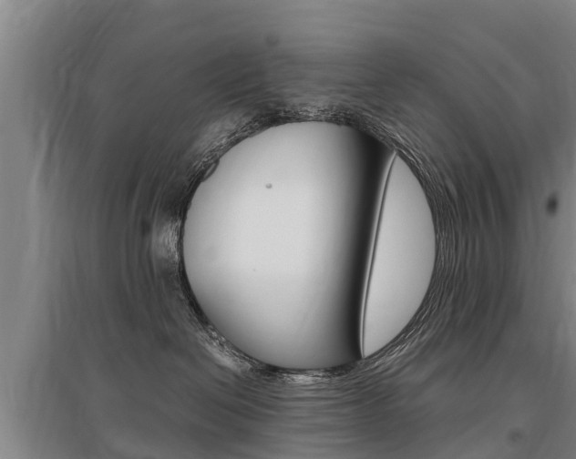 X0000095890286200801110836