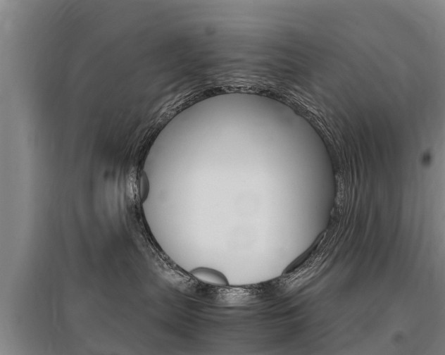X0000095890287200801110836