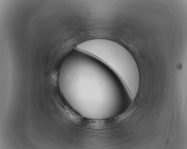 X0000095890288200801110836