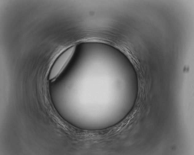 X0000095890289200801110835