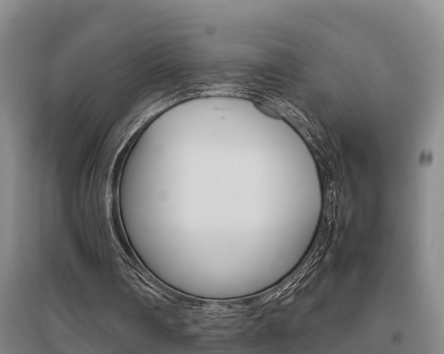 X0000095890290200801110835