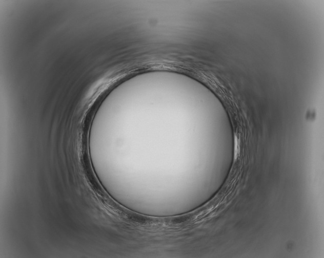 X0000095890291200801110835
