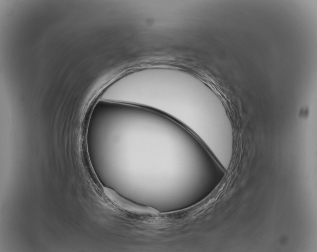 X0000095890293200801110835
