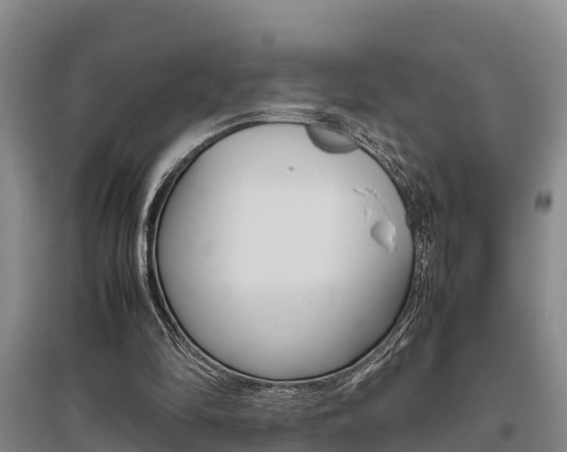 X0000095890294200801110835