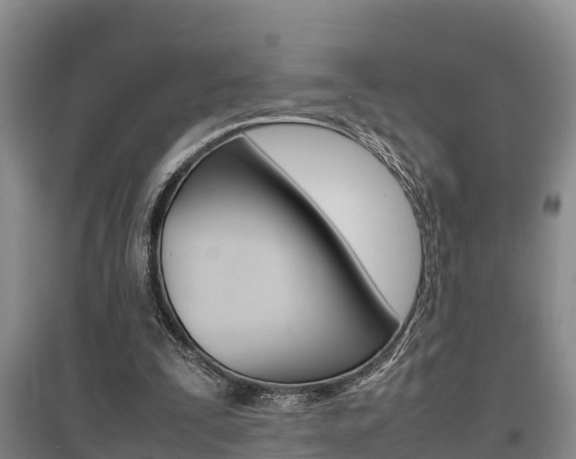 X0000095890295200801110835