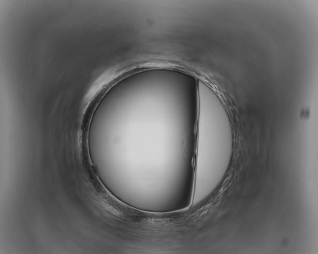 X0000095890296200801110835