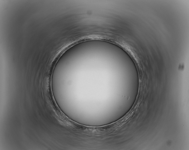 X0000095890297200801110835