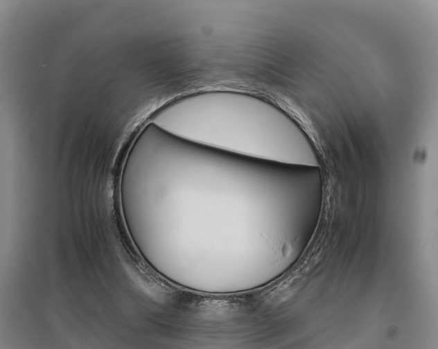 X0000095890298200801110835