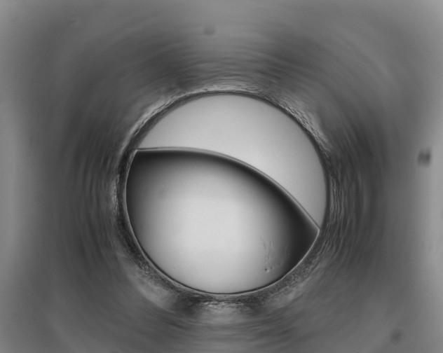 X0000095890300200801110835