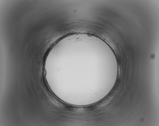 X0000095890301200801110835