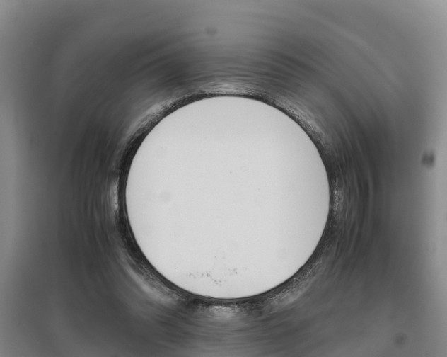 X0000095890302200801110835