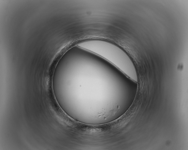 X0000095890304200801110835