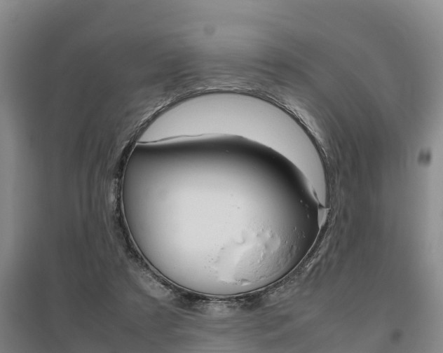 X0000095890305200801110835