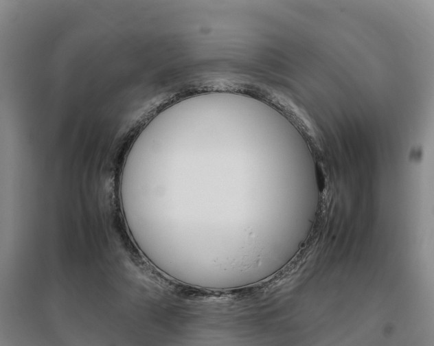 X0000095890306200801110835