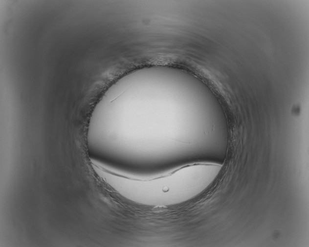X0000095890307200801110835