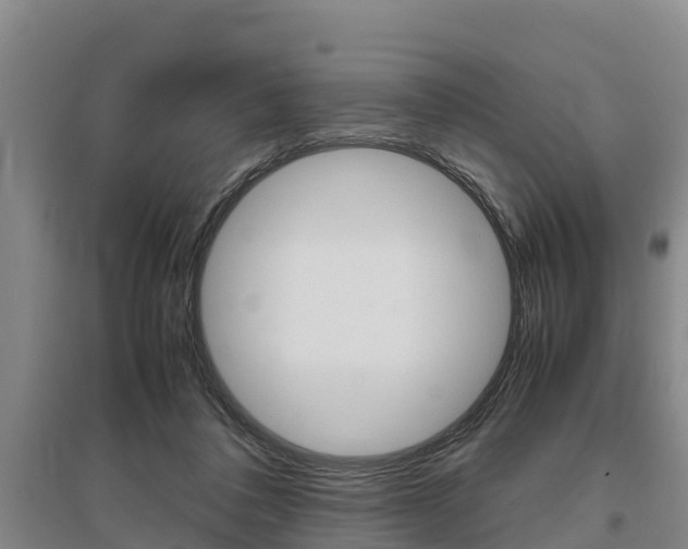X0000095890308200801110835