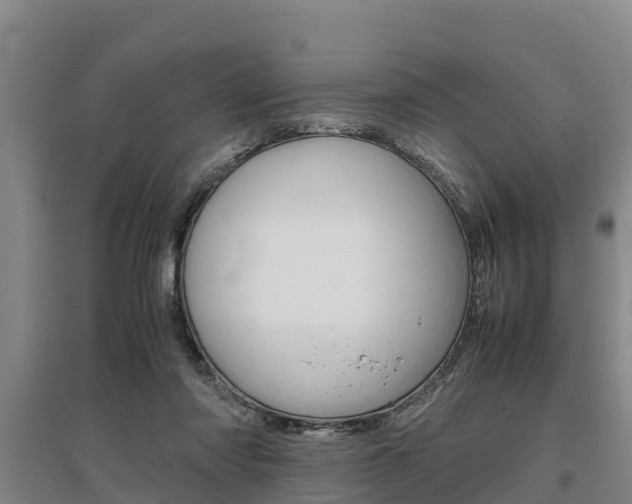 X0000095890310200801110835