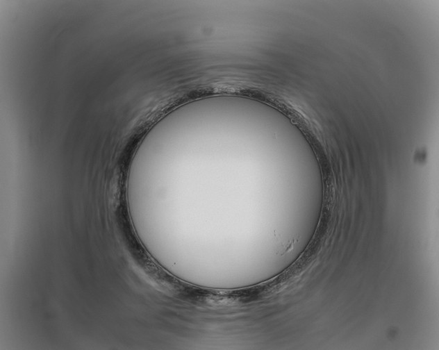 X0000095890311200801110835