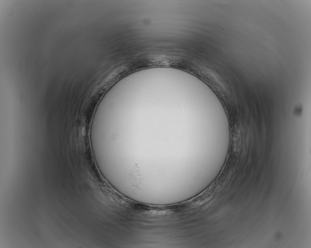 X0000095890314200801110835