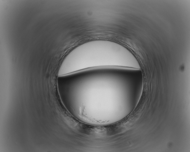 X0000095890317200801110834
