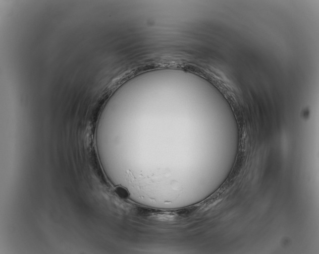 X0000095890318200801110834