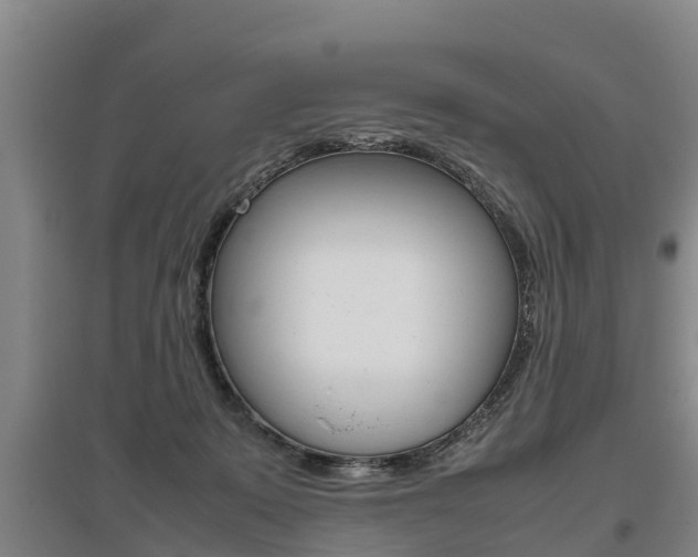 X0000095890319200801110834
