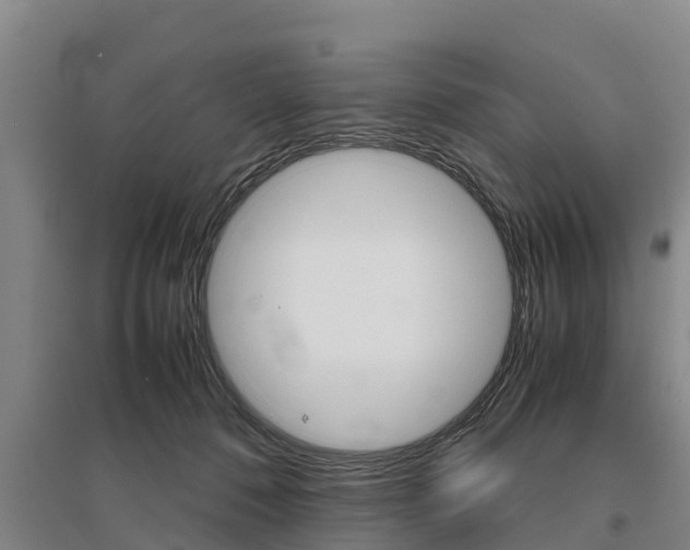 X0000095890320200801110834