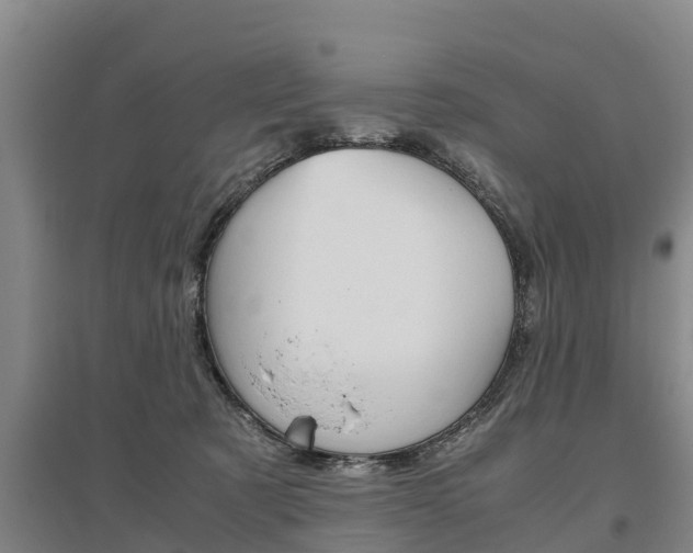 X0000095890321200801110834