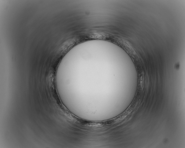 X0000095890322200801110834