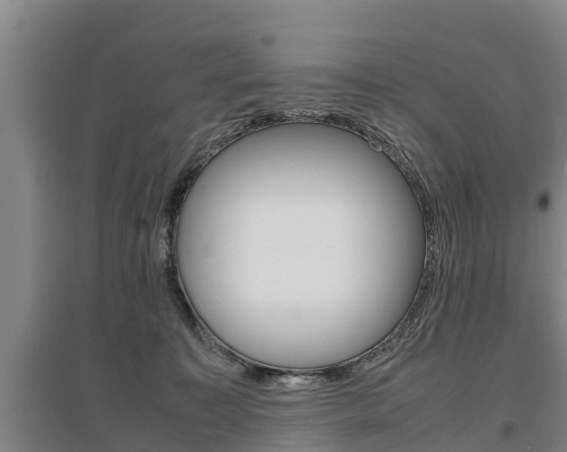 X0000095890323200801110834