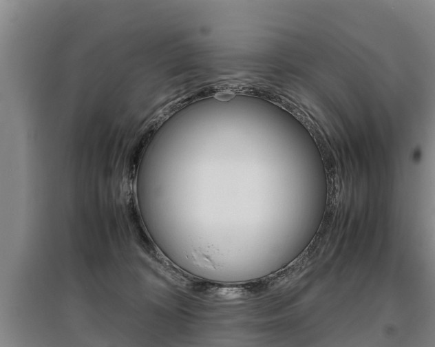 X0000095890324200801110834