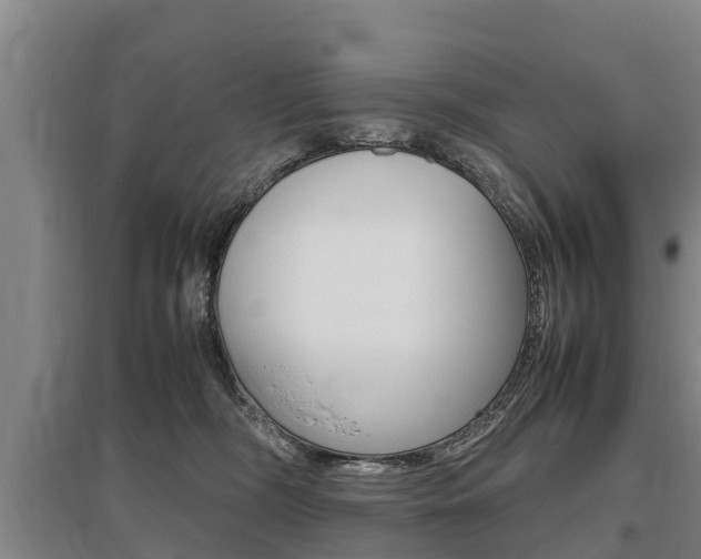 X0000095890326200801110834