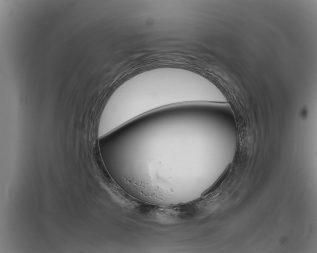 X0000095890327200801110834