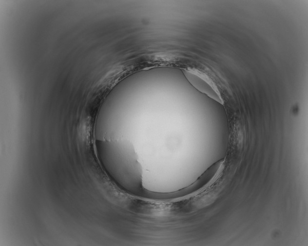 X0000095890328200801110834