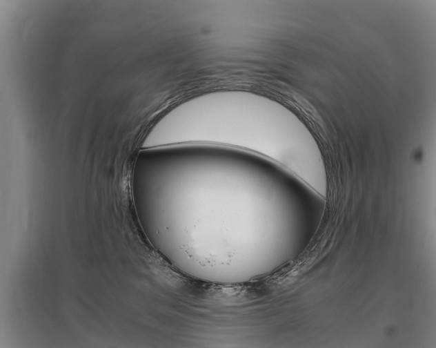 X0000095890329200801110834