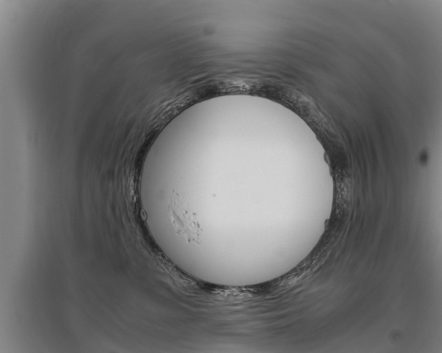 X0000095890331200801110834