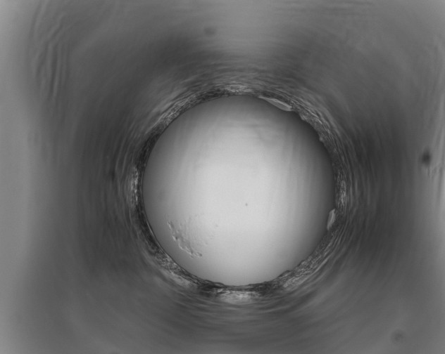 X0000095890332200801110834